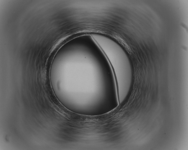 X0000091640484200708230952