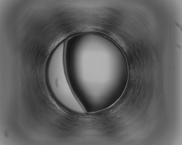 X0000091640485200708230952