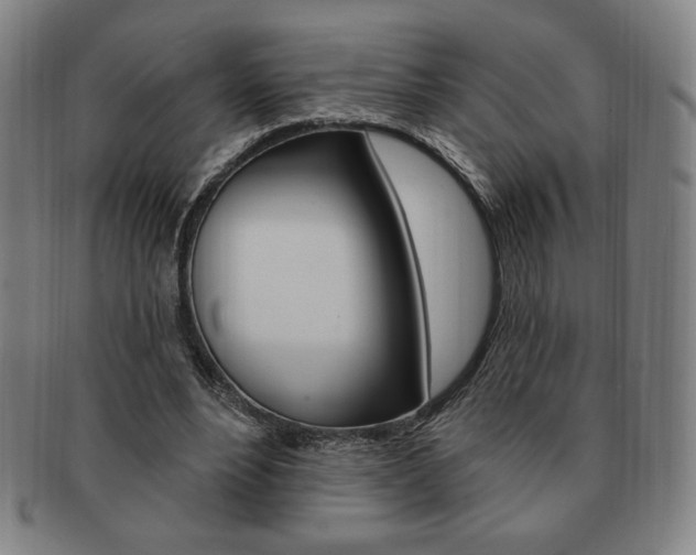 X0000091640488200708230952