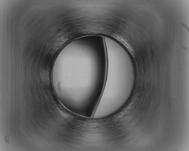 X0000091640489200708230952