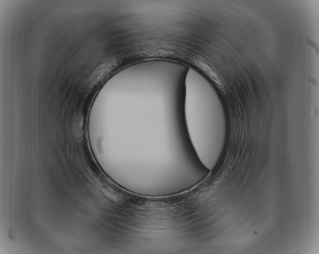 X0000091640490200708230952