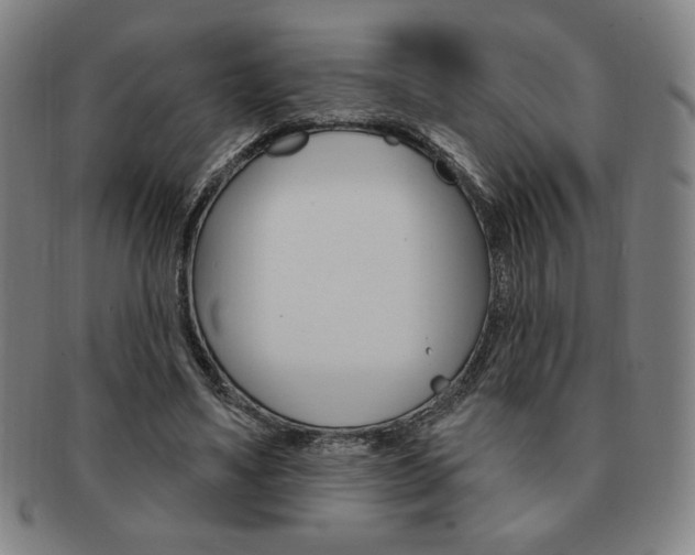 X0000091640491200708230952