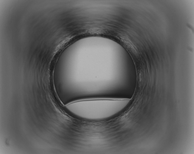 X0000091640492200708230952