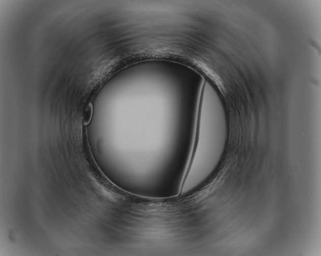 X0000091640493200708230952