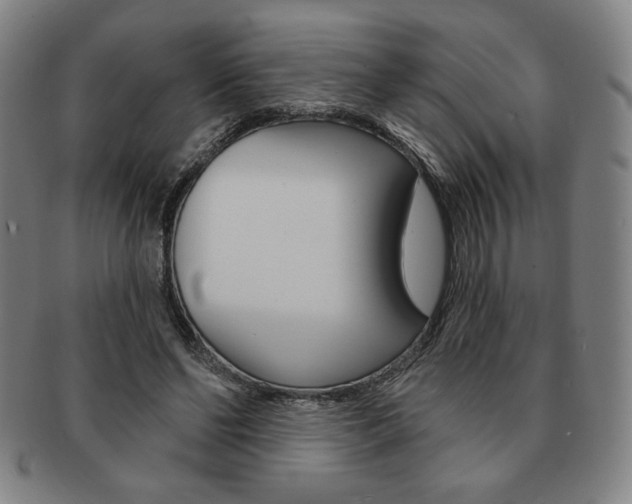 X0000091640494200708230952
