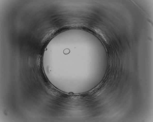 X0000091640495200708230952