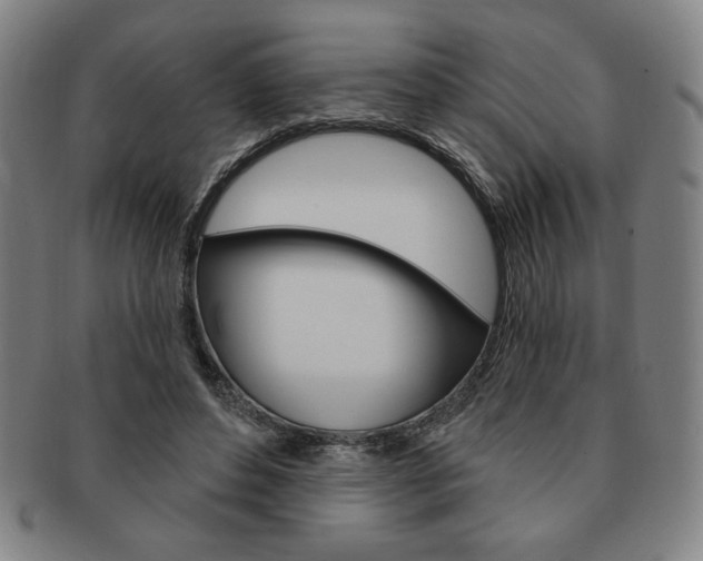 X0000091640496200708230952