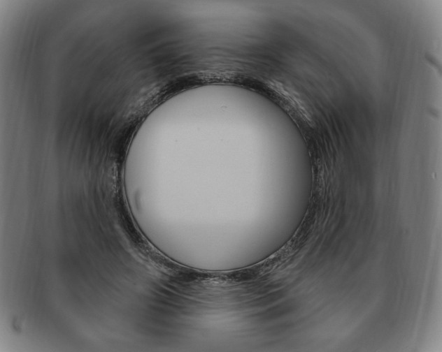 X0000091640498200708230952