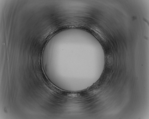 X0000091640499200708230952