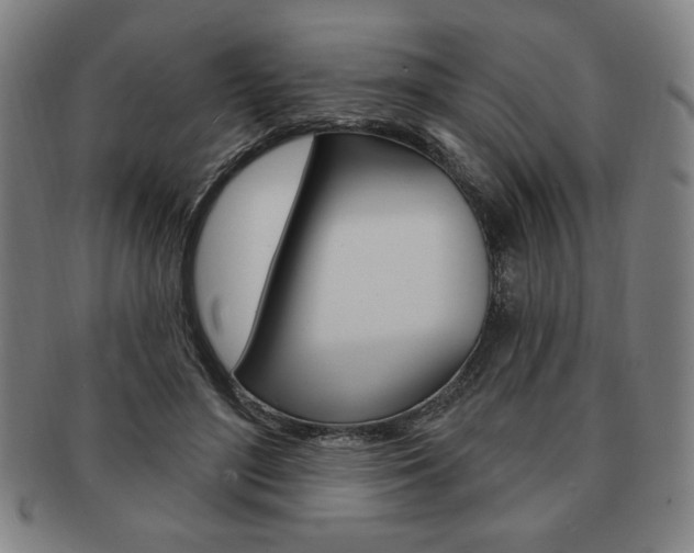 X0000091640500200708230952