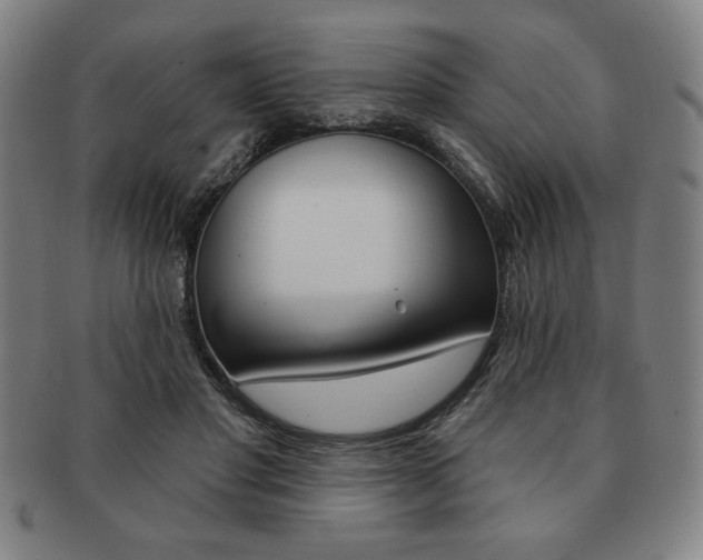 X0000091640501200708230951