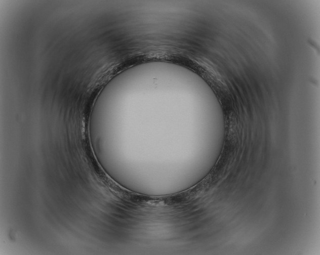 X0000091640502200708230951