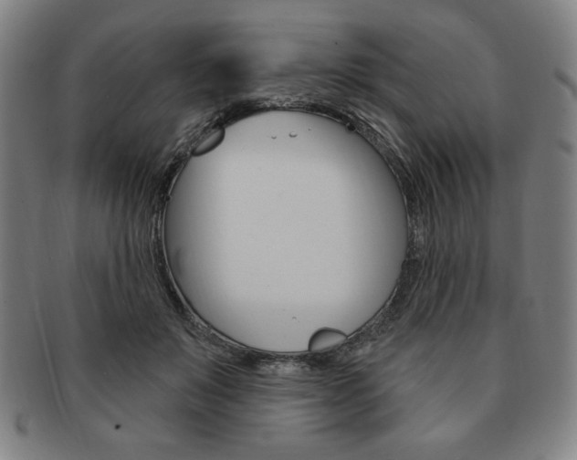 X0000091640503200708230951