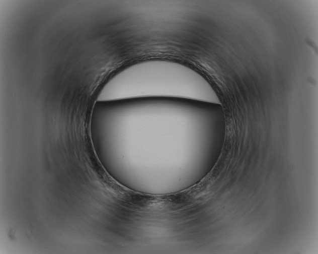 X0000091640504200708230951