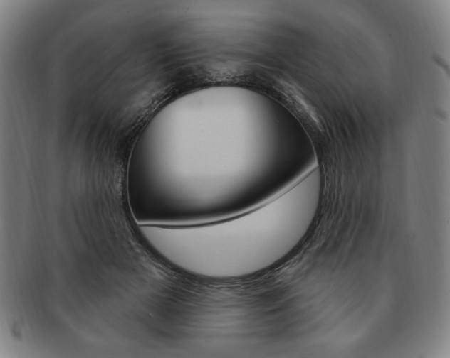 X0000091640505200708230951