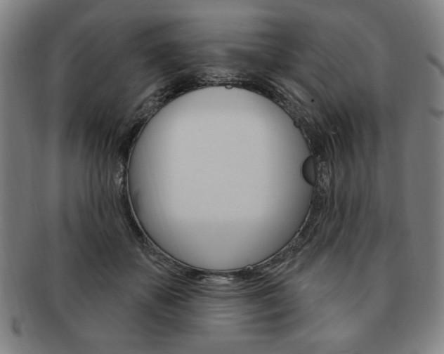 X0000091640507200708230951