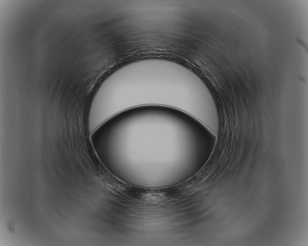 X0000091640508200708230951