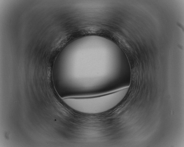 X0000091640509200708230951