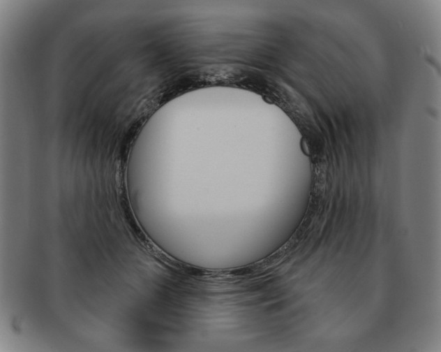 X0000091640510200708230951