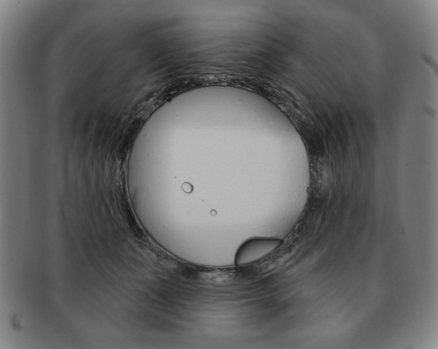 X0000091640511200708230951