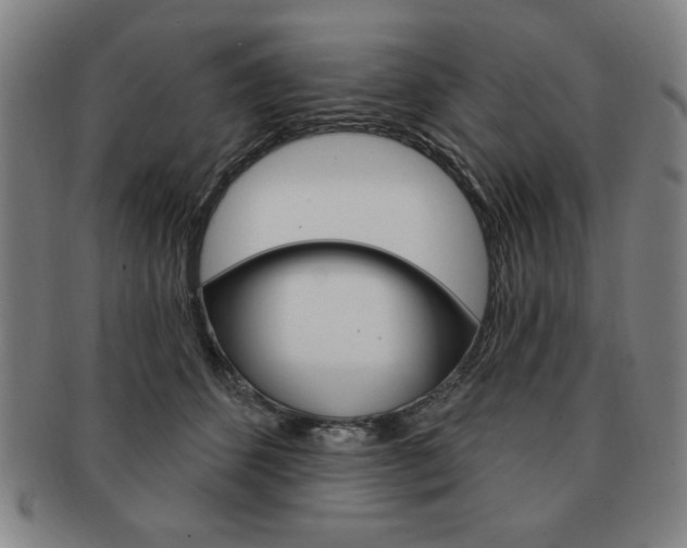 X0000091640512200708230951