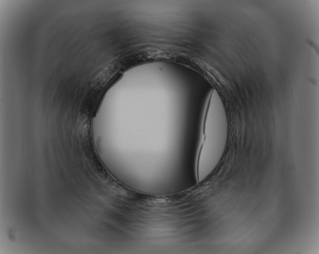 X0000091640513200708230951