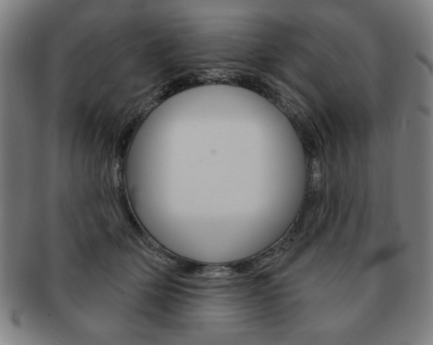 X0000091640514200708230951