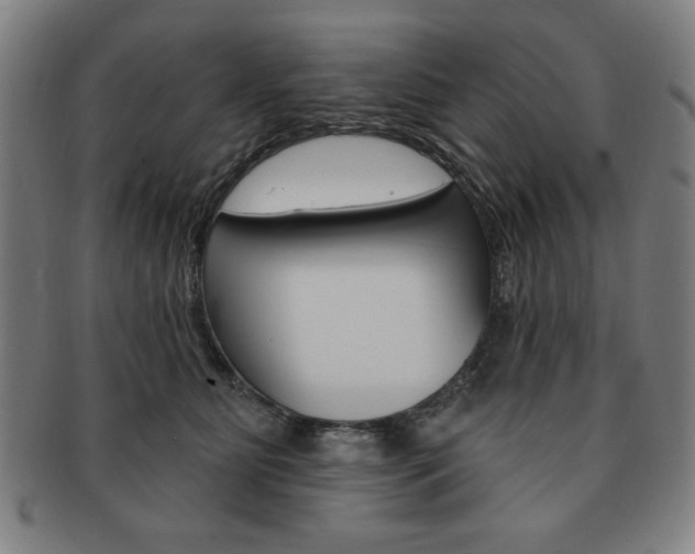 X0000091640515200708230951