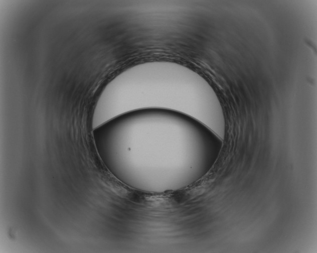 X0000091640516200708230951