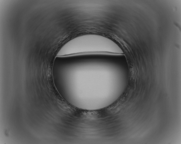X0000091640517200708230951