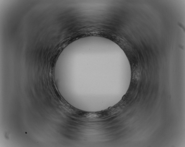 X0000091640518200708230951