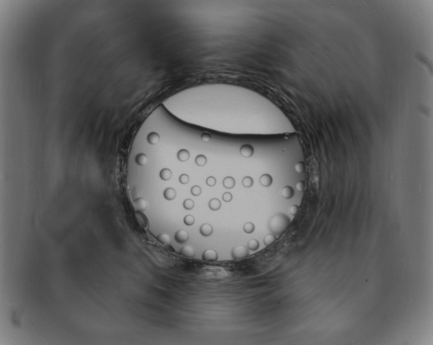 X0000091640519200708230951