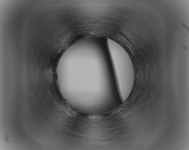 X0000091640520200708230951