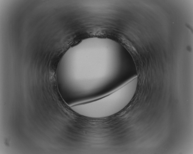 X0000091640521200708230951