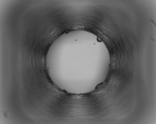 X0000091640523200708230951