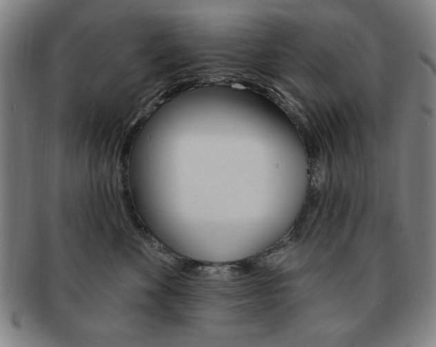 X0000091640524200708230951
