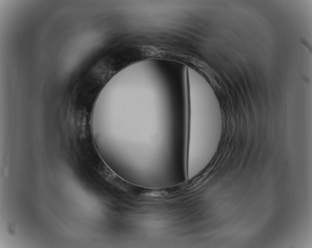 X0000091640525200708230951