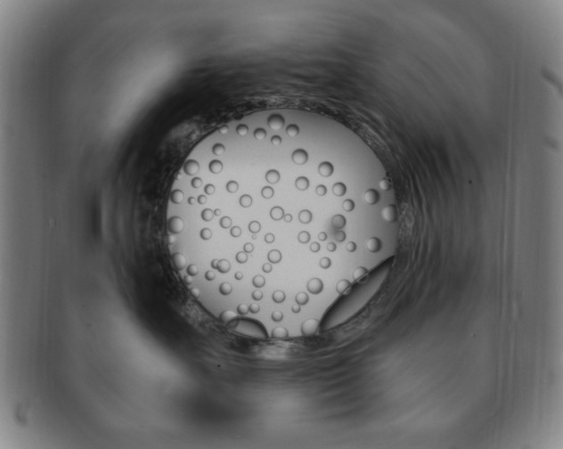 X0000091640527200708230951