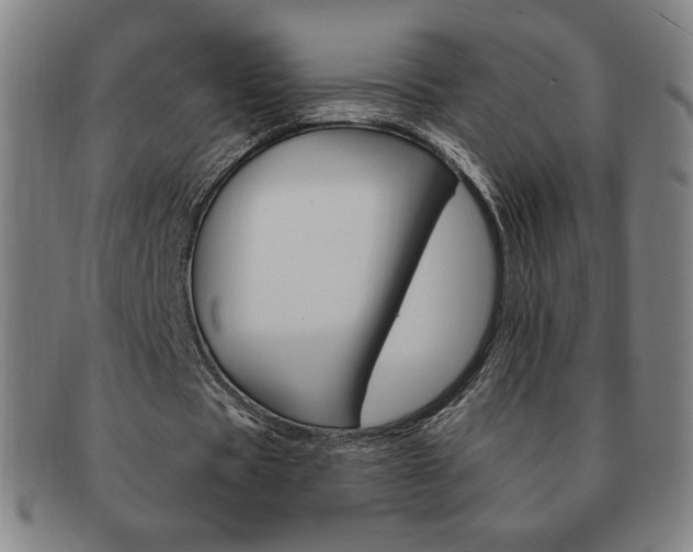 X0000091640529200708230950
