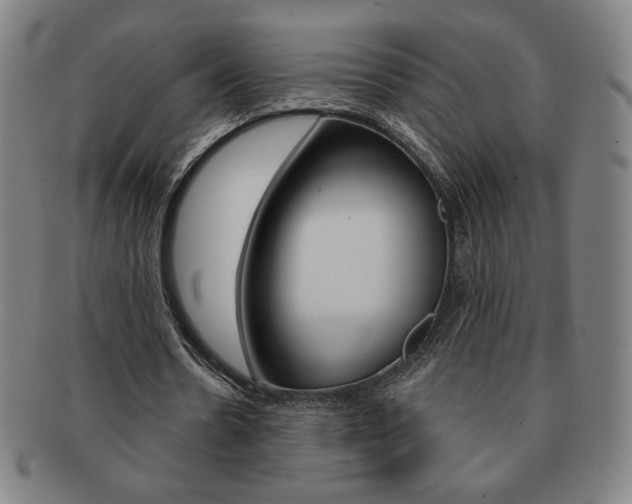 X0000091640530200708230950