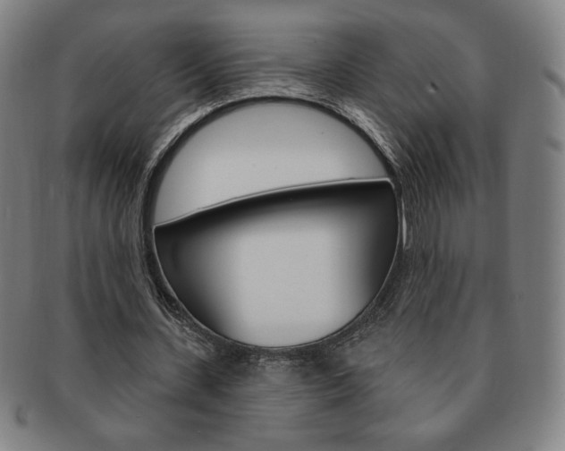 X0000091640531200708230951