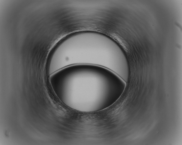 X0000091640532200708230951