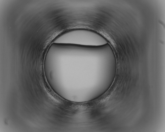 X0000091640533200708230951