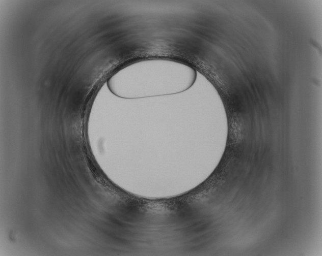 X0000091640534200708230951