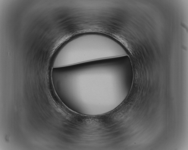 X0000091640535200708230951