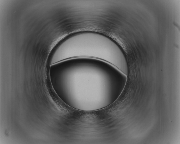 X0000091640536200708230951