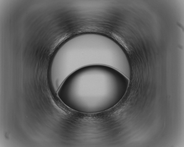 X0000091640538200708230951