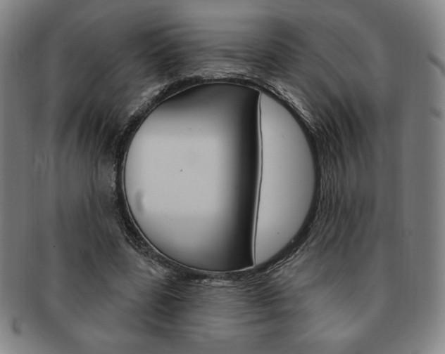 X0000091640539200708230951