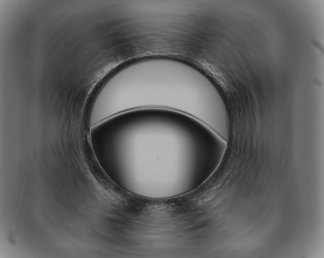 X0000091640540200708230951