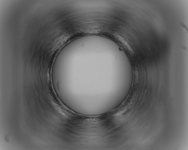 X0000091640541200708230951